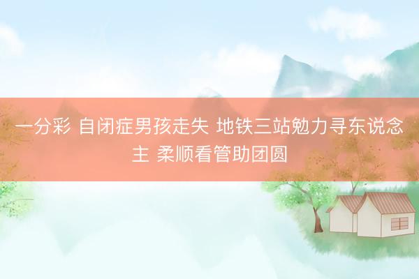 一分彩 自闭症男孩走失 地铁三站勉力寻东说念主 柔顺看管助团圆